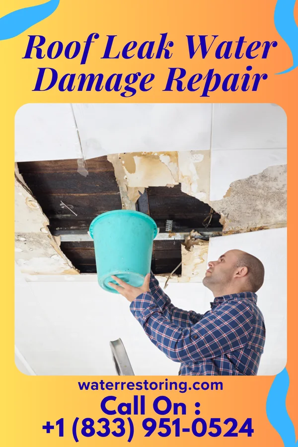 Roof Leak Water Damage Repair in Scandinavia, WI