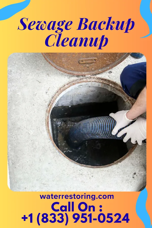 Sewage Backup Cleanup in Scandinavia, WI